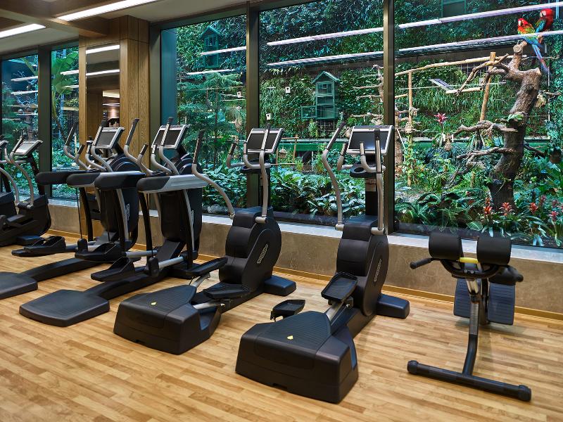 Elite World Grand İstanbul Basın Ekspres Hotel - Aktivite
