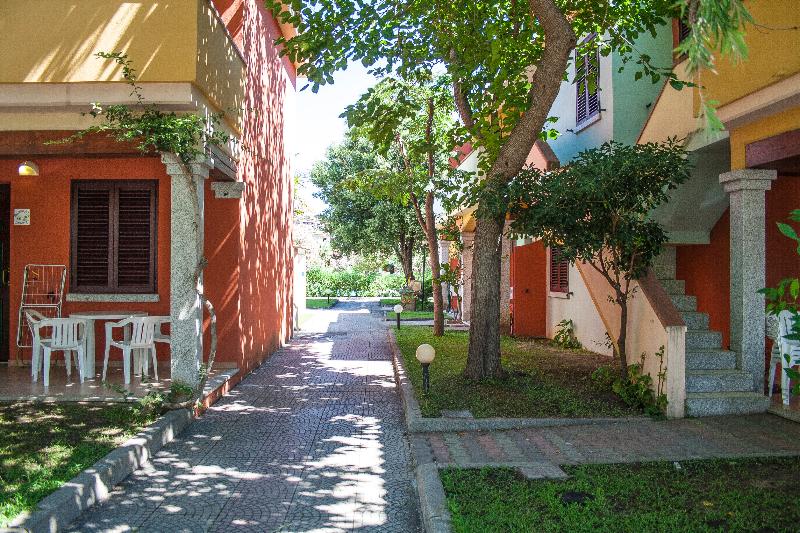 Residence Oasi Anfiteatro - Teras