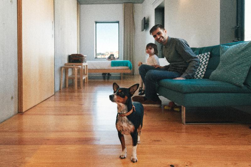 Oh! Porto Apartments - Oda