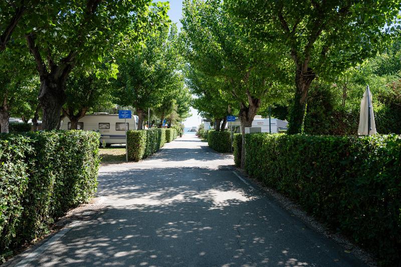 Club del Sole Le Mimose Family Resort - Oda