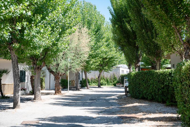 Club del Sole Le Mimose Family Resort - Oda