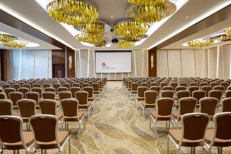 Baku Marriott Hotel Boulevard - Toplantı