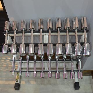 Verdi Santarem fotoÄŸrafÄ±