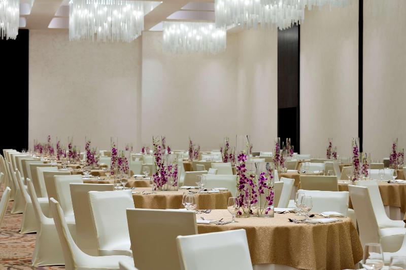Radisson Blu Hotel Sohar - Toplantı