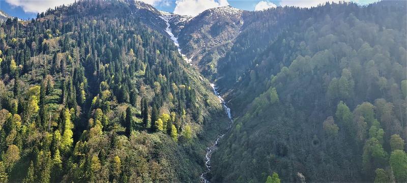 Ayder Doga Resort - Oda
