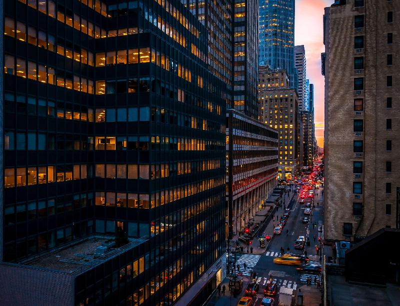 The Bernic New York City Tapestry Col by Hilton - Genel