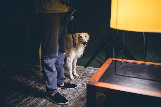 Casa Bonay fotoÄŸrafÄ±