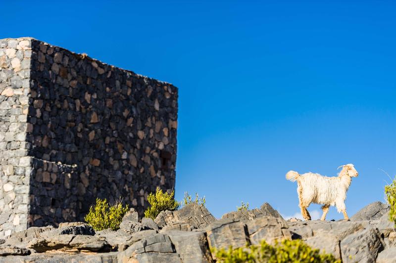 Alila Jabal Akhdar - Genel