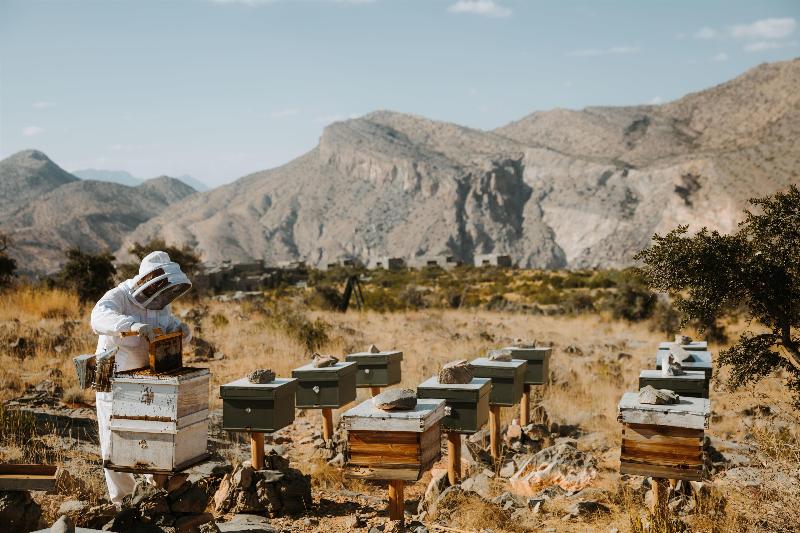 Alila Jabal Akhdar - Genel