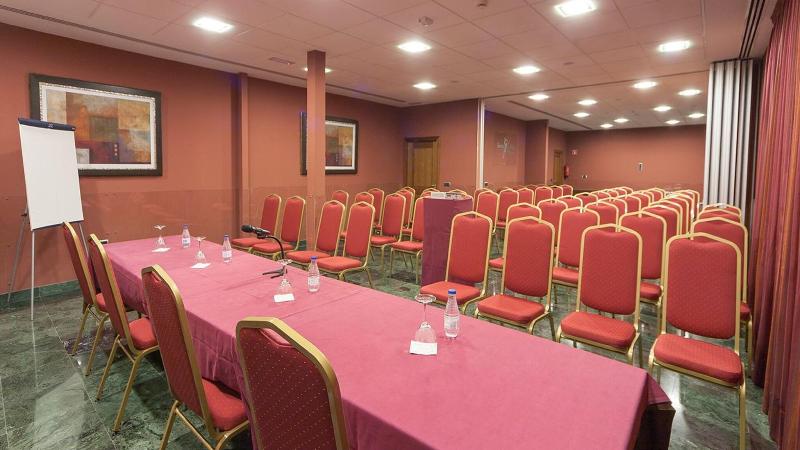 Hotel Mirador De Gredos - Toplantı
