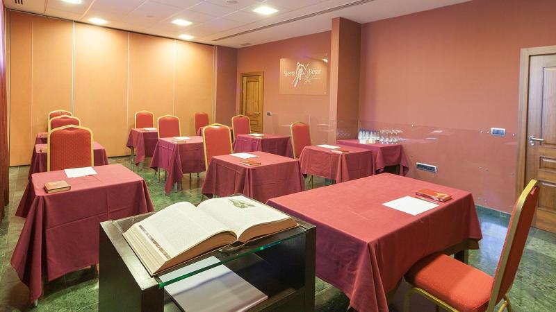 Hotel Mirador De Gredos - Toplantı