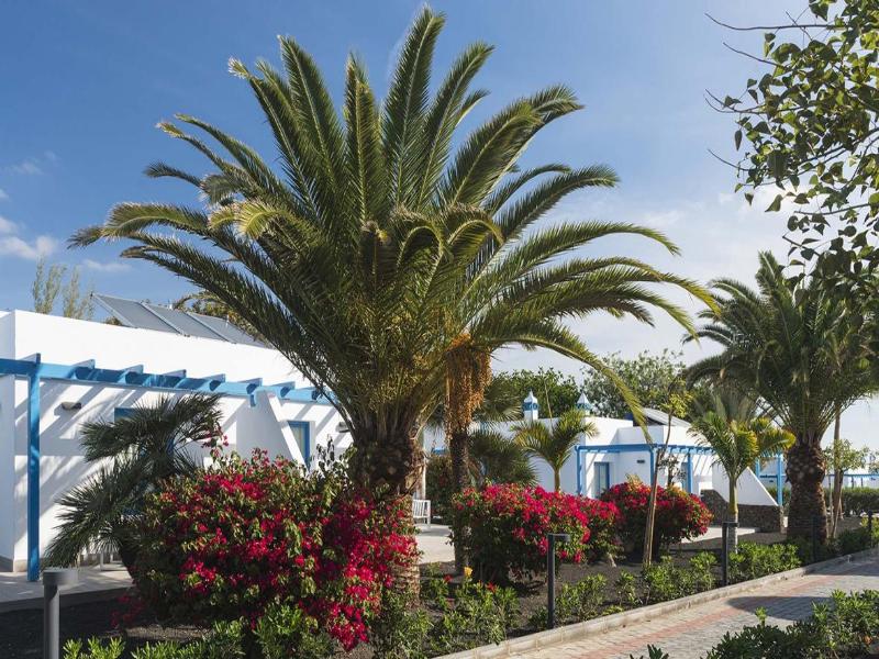 Elba Premium Suites - Oda