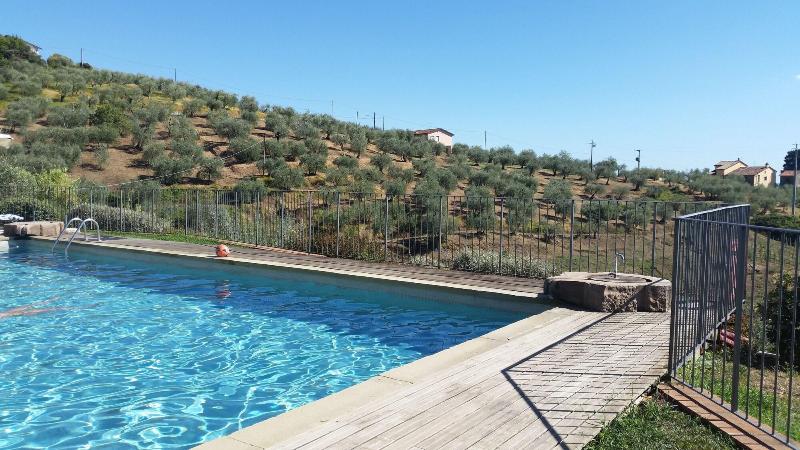 Tenuta San Pietro - Aktivite