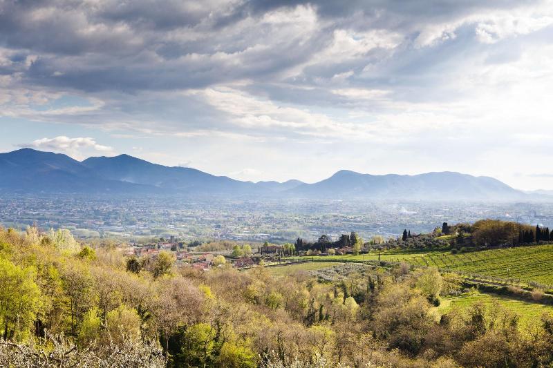 Tenuta San Pietro - Genel