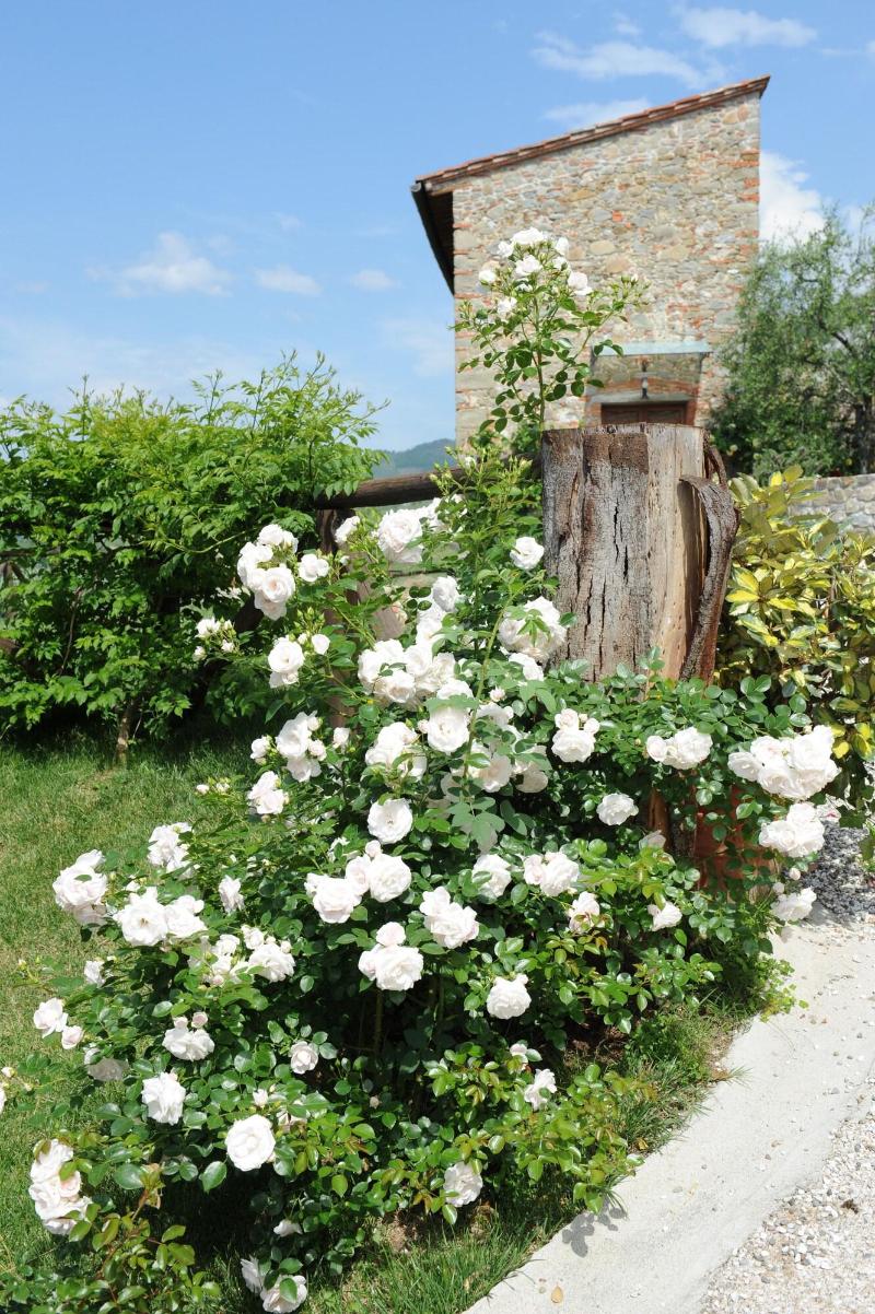Tenuta San Pietro - Genel