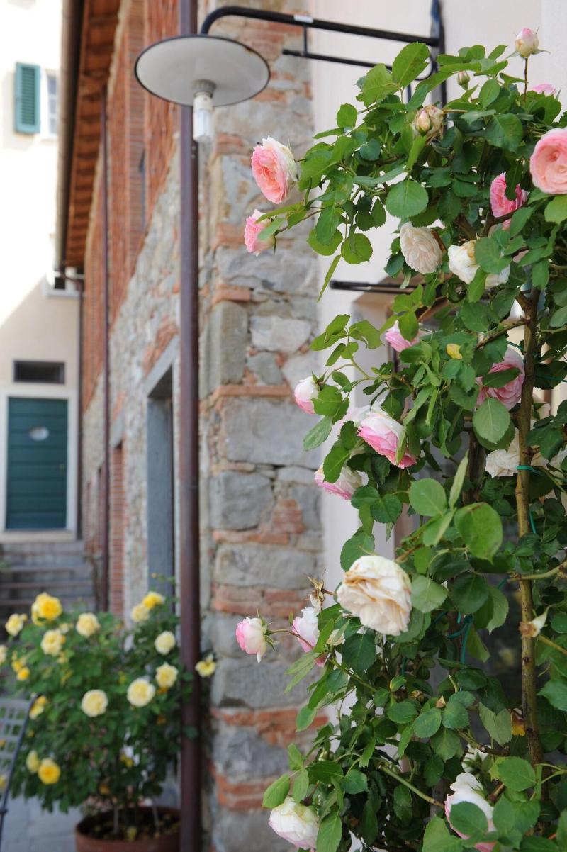 Tenuta San Pietro - Genel