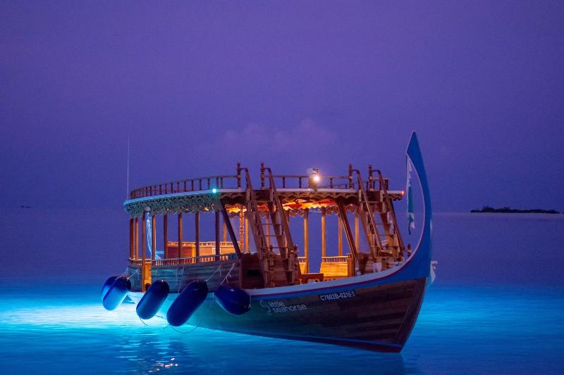 Seaside Finolhu Baa Atoll Maldives - Aktivite
