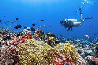 Seaside Finolhu Baa Atoll Maldives fotoÄŸrafÄ±