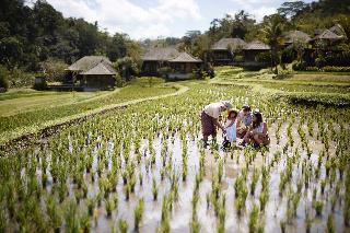 Mandapa, A Ritz-Carlton Reserve fotoÄŸrafÄ±