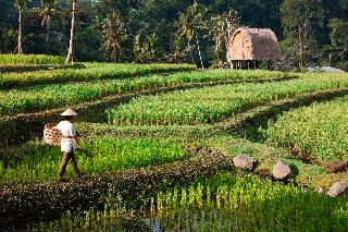 Mandapa, A Ritz-Carlton Reserve fotoÄŸrafÄ±