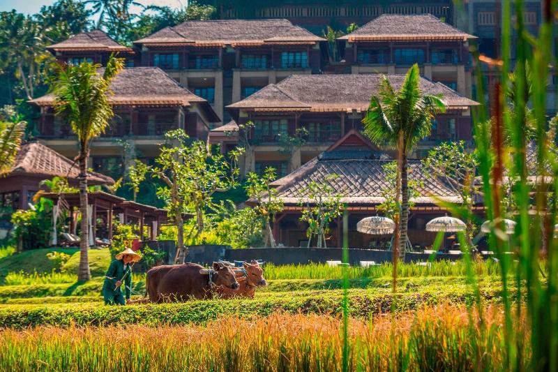 Mandapa, A Ritz-Carlton Reserve - Genel