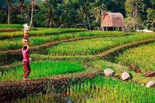 Mandapa, A Ritz-Carlton Reserve fotoÄŸrafÄ±