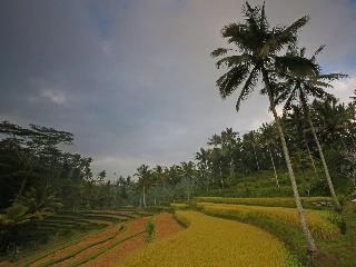Mandapa, A Ritz-Carlton Reserve fotoÄŸrafÄ±