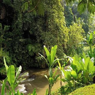 Mandapa, A Ritz-Carlton Reserve fotoÄŸrafÄ±