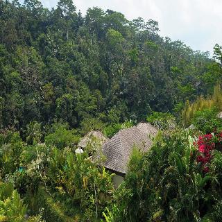 Mandapa, A Ritz-Carlton Reserve fotoÄŸrafÄ±