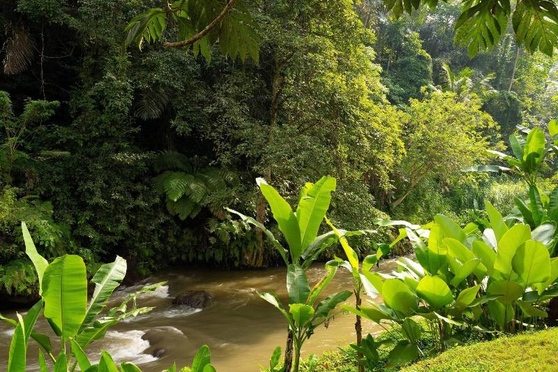 Mandapa, A Ritz-Carlton Reserve - Havuz