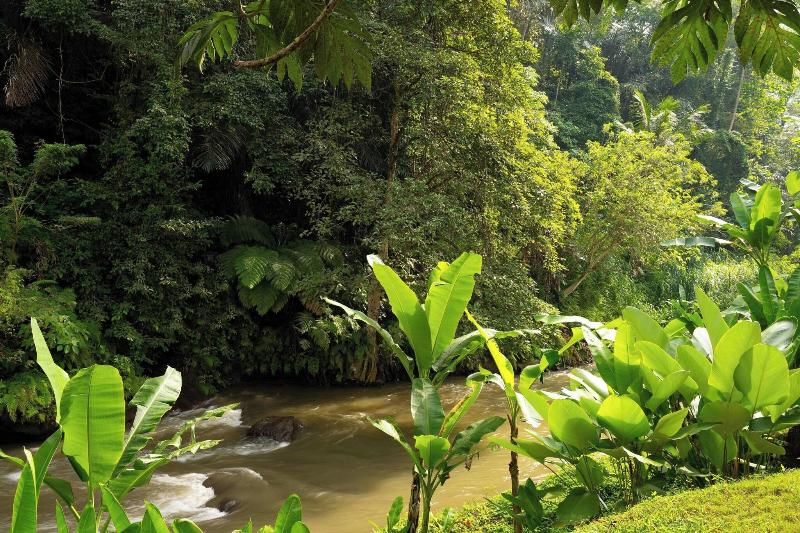 Mandapa, A Ritz-Carlton Reserve - Havuz