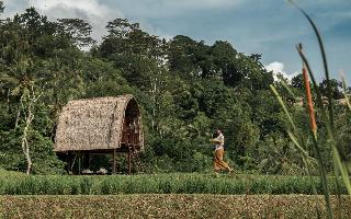 Mandapa, A Ritz-Carlton Reserve fotoÄŸrafÄ±