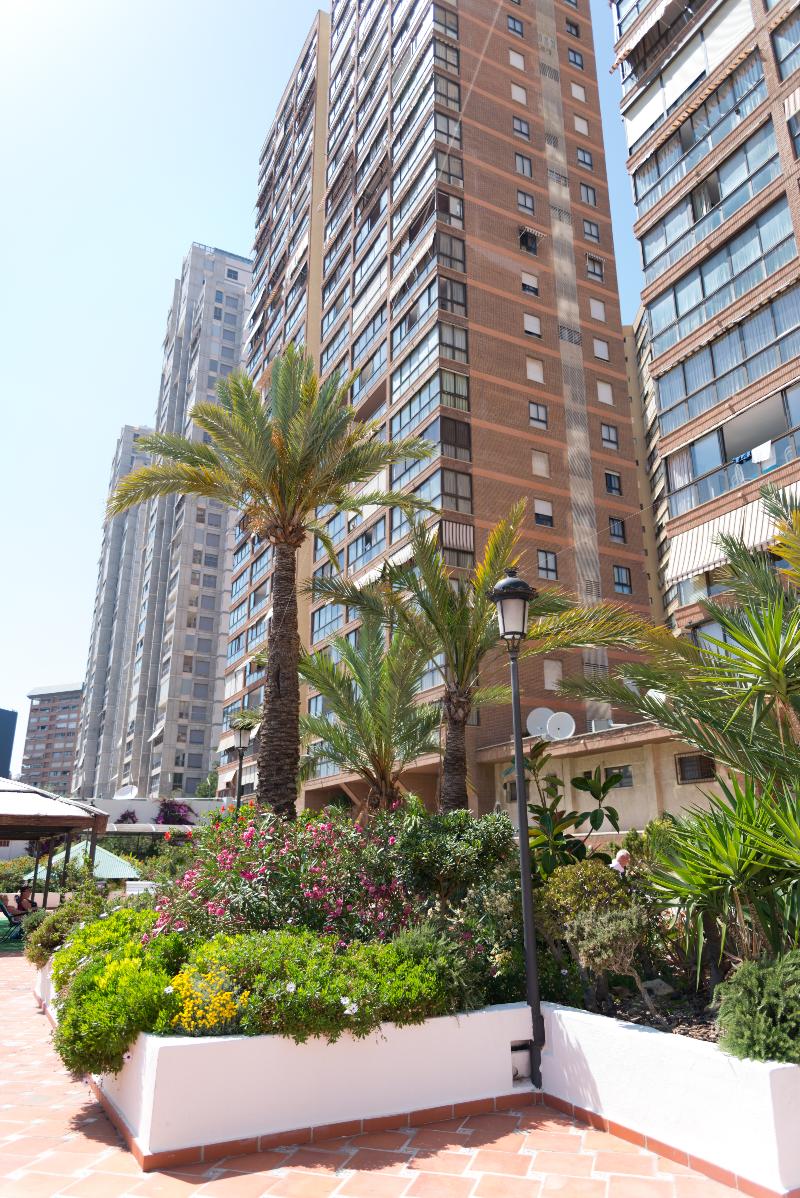 Apartamentos  Gemelos Beninter - Genel