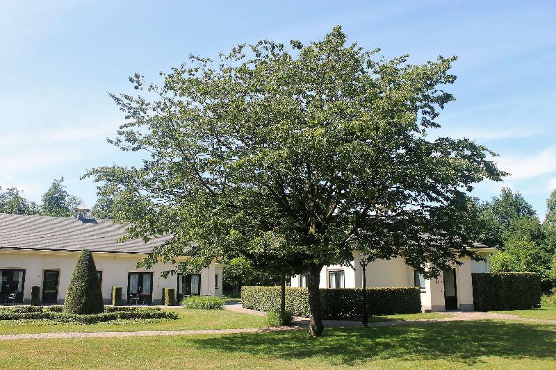 Kasteel De Vanenburg - Genel