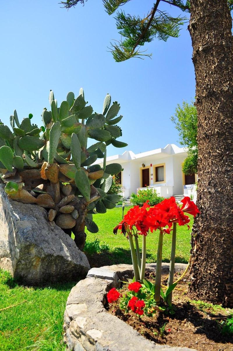 Ampavris Family Apartments - Genel
