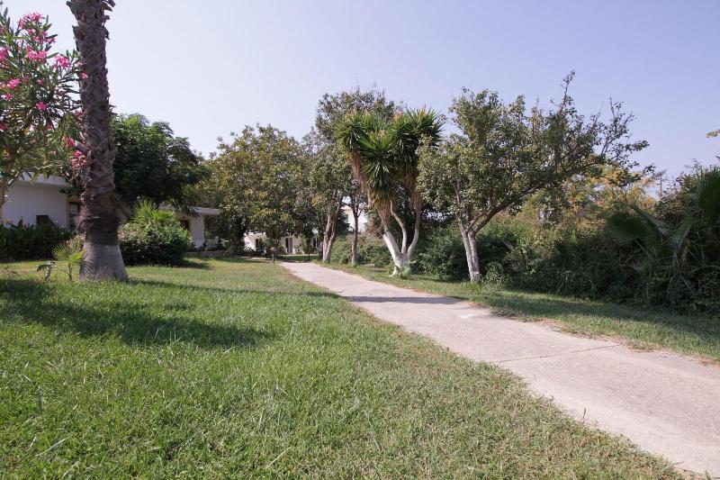 Ampavris Family Apartments - Teras