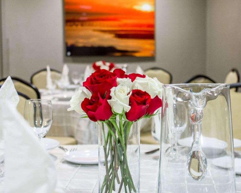 Comfort Inn Syosset-Long Island - Toplantı