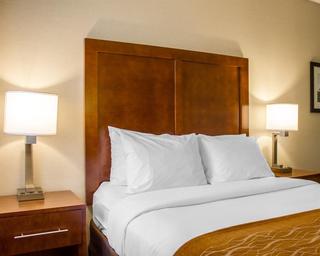 Comfort Inn Syosset-Long Island fotoÄŸrafÄ±