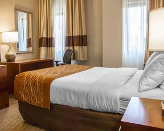 Comfort Inn Syosset-Long Island fotoÄŸrafÄ±