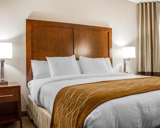 Comfort Inn Syosset-Long Island fotoÄŸrafÄ±
