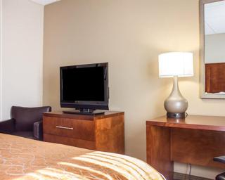 Comfort Inn Syosset-Long Island fotoÄŸrafÄ±