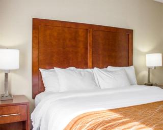 Comfort Inn Syosset-Long Island fotoÄŸrafÄ±