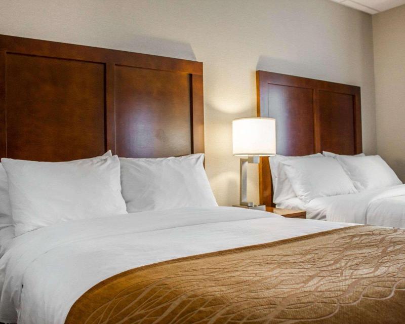 Comfort Inn Syosset-Long Island - Oda