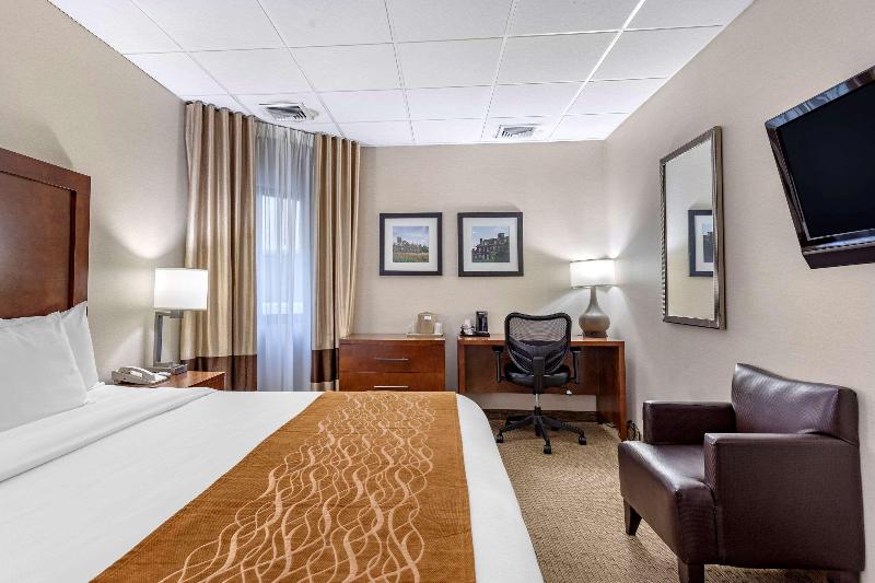 Comfort Inn Syosset-Long Island - Oda