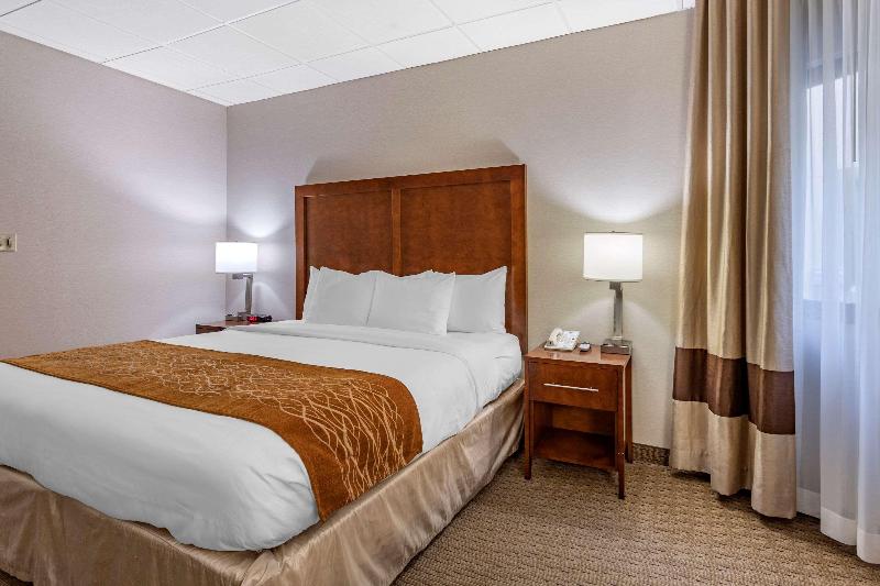 Comfort Inn Syosset-Long Island - Oda