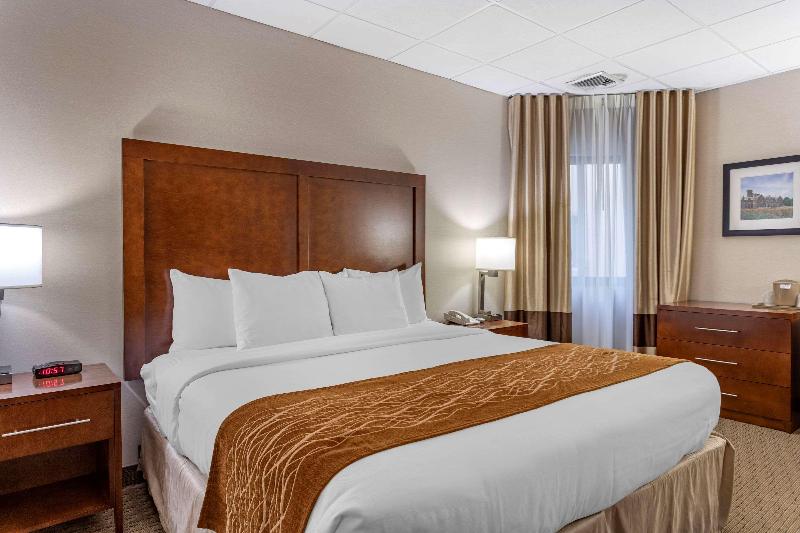 Comfort Inn Syosset-Long Island - Oda
