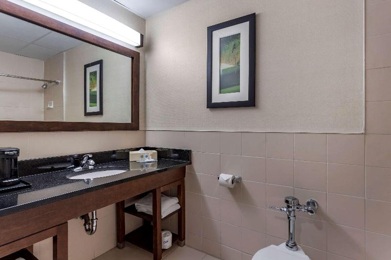 Comfort Inn Syosset-Long Island - Oda