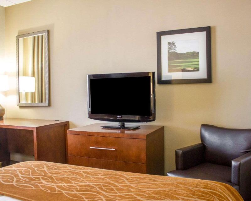 Comfort Inn Syosset-Long Island - Oda