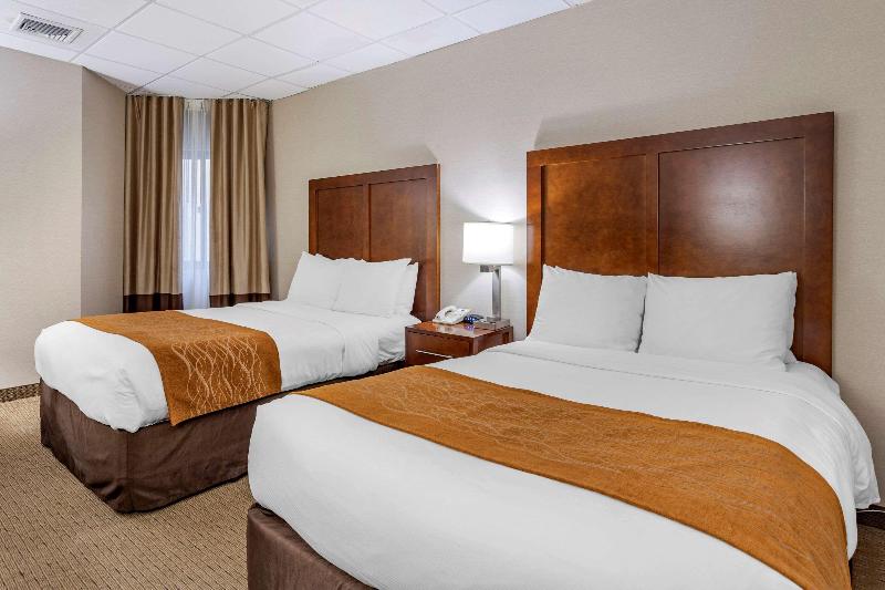 Comfort Inn Syosset-Long Island - Oda
