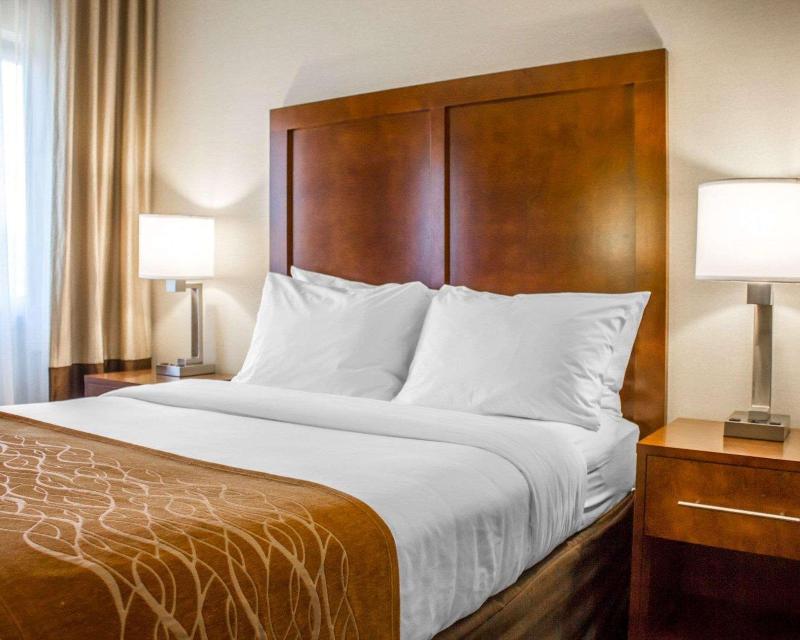 Comfort Inn Syosset-Long Island - Oda